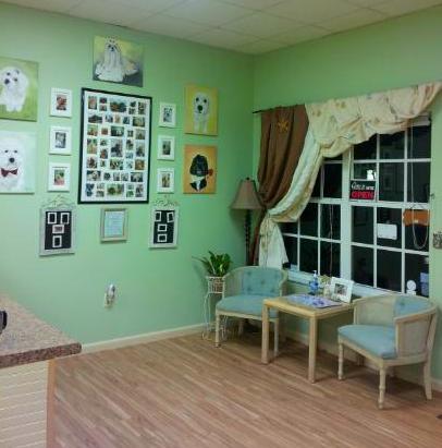 happy puppy pet spa venice fl doggie spa and grooming my town venice florida find groomer happy puppy pet spa venice fl doggie spa and grooming my town venice florida find groomer